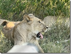 IMG_5565~photo IMG_5565~photo