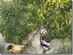 IMG_5567~photo IMG_5567~photo