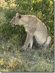 IMG_5573~photo IMG_5573~photo