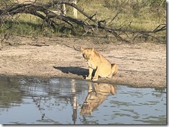 IMG_5575~photo IMG_5575~photo