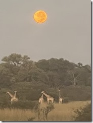 IMG_5646~photo IMG_5646~photo