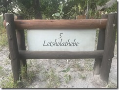 IMG_5650~photo IMG_5650~photo