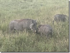 IMG_5658~photo IMG_5658~photo