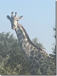 IMG_5670~photo IMG_5670~photo