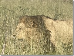 IMG_5685~photo IMG_5685~photo