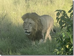 IMG_5690~photo IMG_5690~photo