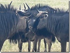 IMG_5753~photo IMG_5753~photo