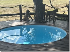 IMG_5757~photo IMG_5757~photo