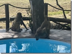 IMG_5759~photo IMG_5759~photo