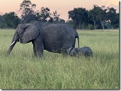 IMG_5785~photo IMG_5785~photo