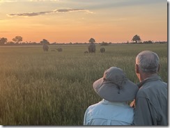 IMG_5788~photo IMG_5788~photo