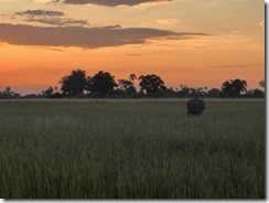 IMG_5791~photo IMG_5791~photo