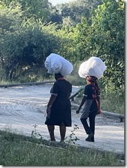 IMG_5832~photo IMG_5832~photo