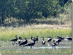 IMG_5852~photo IMG_5852~photo