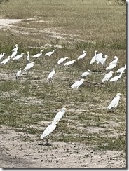 IMG_5861~photo IMG_5861~photo