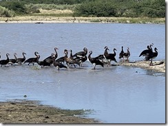 IMG_5866~photo IMG_5866~photo