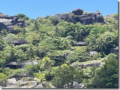 IMG_6448~photo - Copy