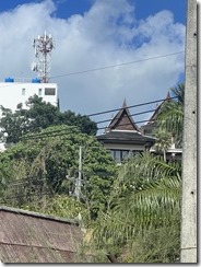 IMG_8185~photo - Copy