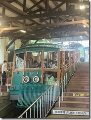 IMG_0018~photo - Copy