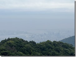 IMG_0021~photo - Copy