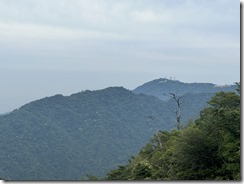 IMG_0022~photo - Copy