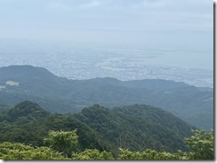 IMG_0028~photo - Copy