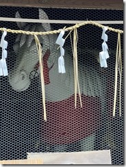 IMG_0163~photo - Copy