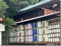 IMG_0165~photo - Copy