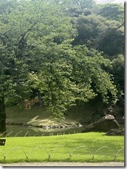 IMG_0302~photo - Copy - Copy