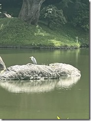 IMG_0303~photo - Copy - Copy