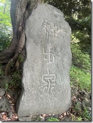 IMG_0306~photo - Copy - Copy