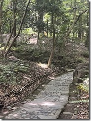 IMG_0309~photo - Copy - Copy