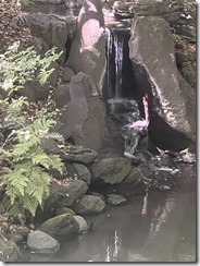 IMG_0310~photo - Copy - Copy