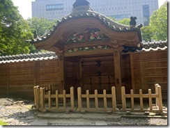 IMG_0311~photo - Copy - Copy