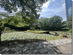 IMG_0312~photo - Copy - Copy