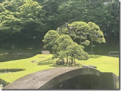 IMG_0316~photo - Copy - Copy