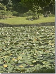 IMG_0317~photo - Copy - Copy