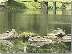 IMG_0320~photo - Copy - Copy