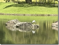 IMG_0323~photo - Copy - Copy