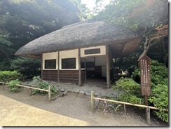 IMG_0325~photo - Copy - Copy