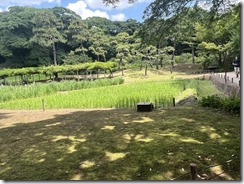 IMG_0327~photo - Copy - Copy