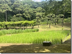 IMG_0328~photo - Copy - Copy