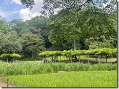 IMG_0329~photo - Copy - Copy