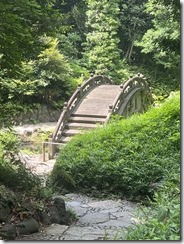 IMG_0337~photo - Copy - Copy