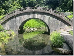 IMG_0340~photo - Copy