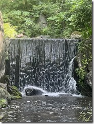 IMG_0348~photo - Copy