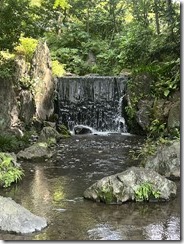 IMG_0350~photo - Copy