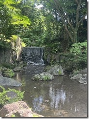 IMG_0351~photo - Copy