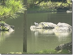 IMG_0354~photo - Copy