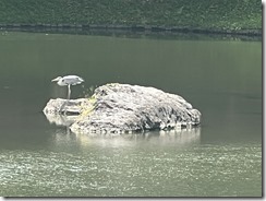 IMG_0355~photo - Copy